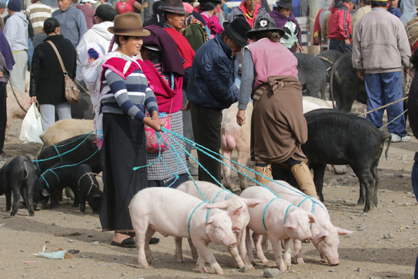 Markt in Riobamba